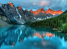 武大靖宣布退役